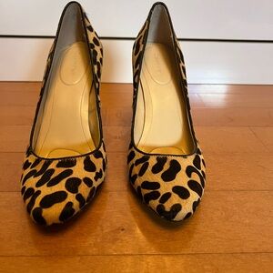 Calvin Klein leopard pumps